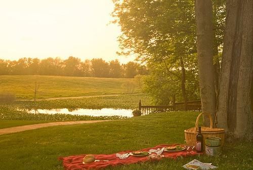 Castle In The Country Bed & Breakfast Inn Allegan Exteriér fotografie